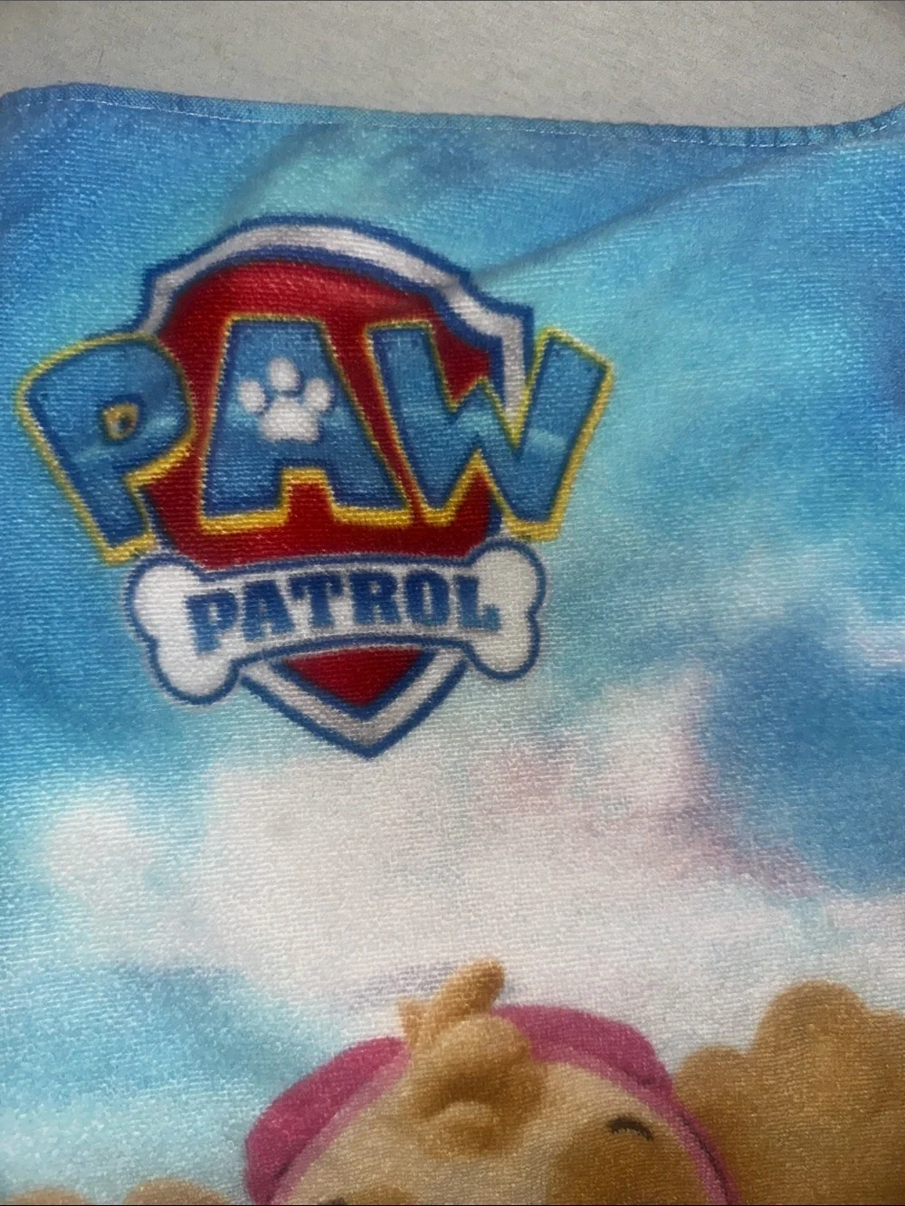 Paw Patrol Blue and Pink Skye Kids Towel